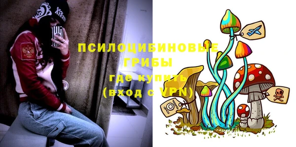 стаф Мегион