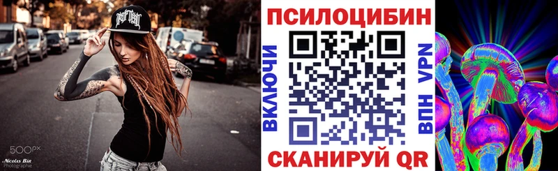 Псилоцибиновые грибы Psilocybe  Ачхой-Мартан 